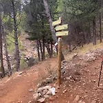 With A View *