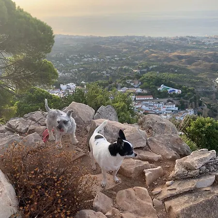 公寓 With A View